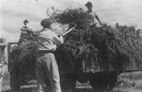 That's How It Was - Kibbutz, 1946.