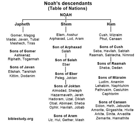 Who were Noah's descendants? | Bible character study, Bible facts ...