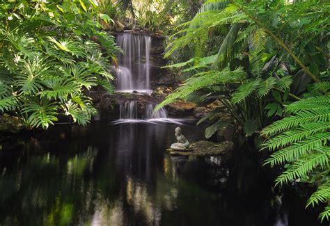 Selby Gardens waterfall. | Tropical plants surround the wate… | Flickr