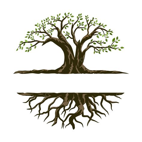 Oak Tree Badge Logo, Oak Tree, Logo, Circular PNG and Vector with ...