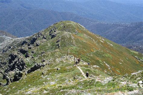 Guide to Hiking Mt Bogong and Feathertop | Snowys Blog