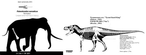 Paleoloxodon namadicus compared to Tyrannosaurus rex. It was the ...