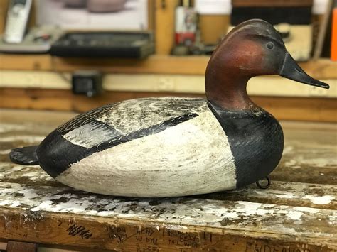 Mark Daisey, Antique CanvasBack Decoy | Decoy carving, Decoy, Duck decoys