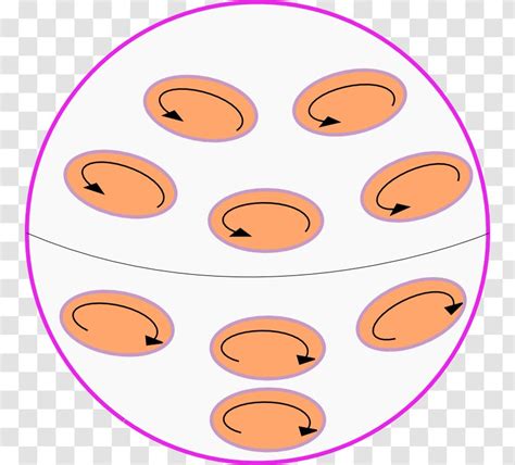 Earth's Magnetic Field Dynamo Theory - Area - Earth Transparent PNG