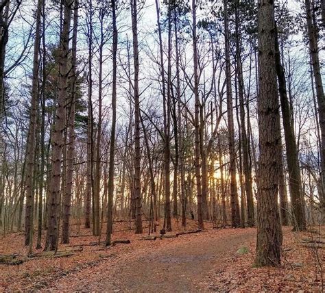 Christmas Eve Morning Walk, Pokagon State Park - State of Indiana