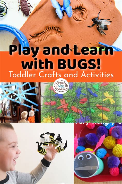 An Epic Insect Theme for Toddlers! - How Wee Learn