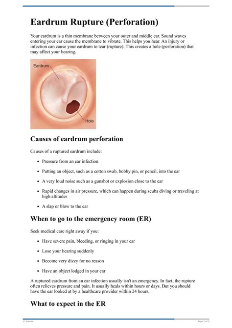 Ruptured Eardrum Tympanic Membrane Perforations, 46% OFF