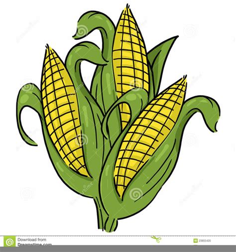 Free Clipart Of Corn Stalks | Free Images at Clker.com - vector clip ...