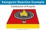 Exergonic Reaction: Definition, Equation, Graph, and Examples