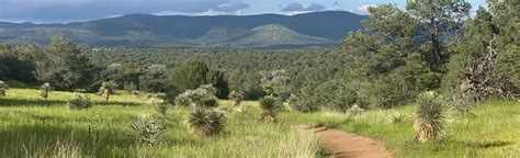 Dragonfly Trail, New Mexico - 627 Reviews, Map | AllTrails