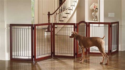 10 Best Dog Gates for Indoors & Outdoors | Dog gate, Indoor dog fence ...