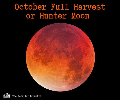 October's Full Harvest or Hunter Moon Spiritual Meaning, Symbolism, and ...