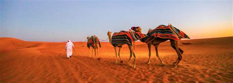 The Complete Dubai Desert Safari Guide - Tickets, Tips, Reviews & More