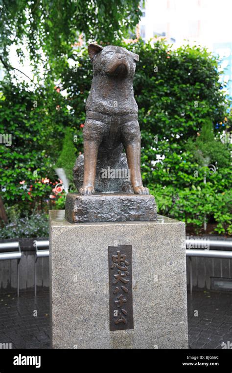 Hachiko Statue, popular meeting place, Shibuya, Tokyo, Japan, Asia ...