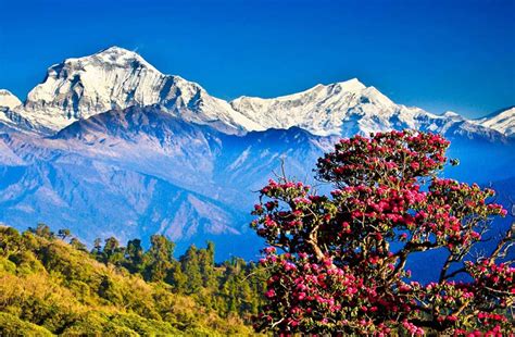 Tahu Negara Bhutan? Jarang Didatangi Sebenarnya, Tapi Biaya ...