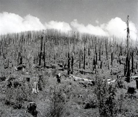 The Decade the Oregon Coast Burned - 1930s