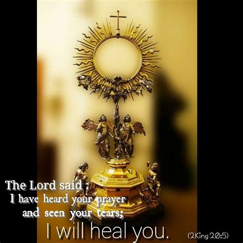 The Holy Sacrament | Eucharistic adoration, Eucharist, Sacred scripture