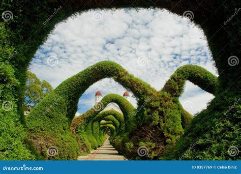 Bush Sculptures And Shapes Royalty Free Stock Images - Image: 8357769