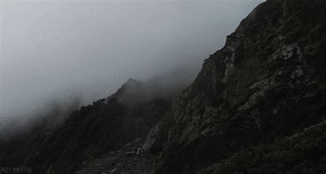 Fog GIF - Find & Share on GIPHY