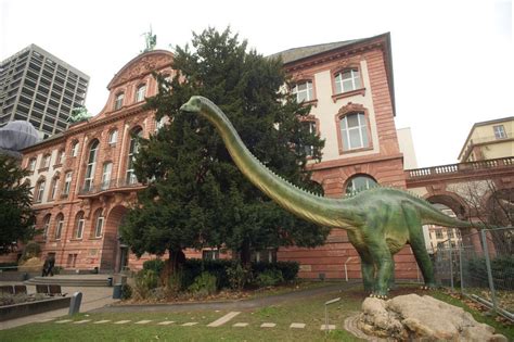 Senckenberg Nature Museum, Frankfurt am Main, Germany – HiSoUR – Hi So ...