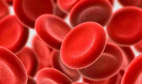 Facts on red blood cells and hemoglobin