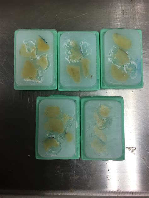 Gigas Broodstock DNA Extraction Part 8 – the responsible postdoc – Lab ...