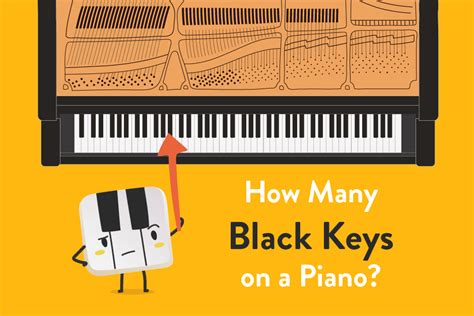 How Many Keys on a Piano | Learn All About Piano Keys