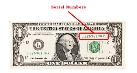 Star dollar bill serial number lookup - viltab