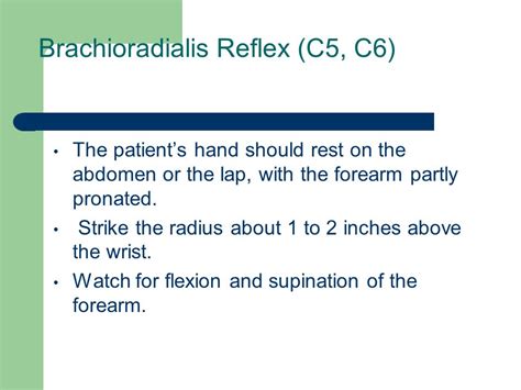 Brachioradialis Reflex