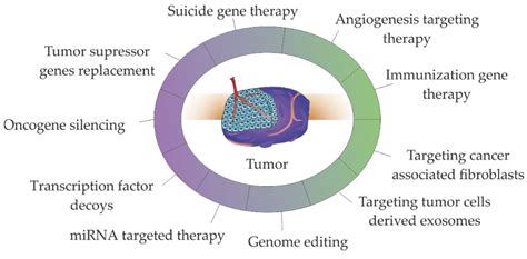 Gene Therapy in Cancer Treatment: Why Go Nano?