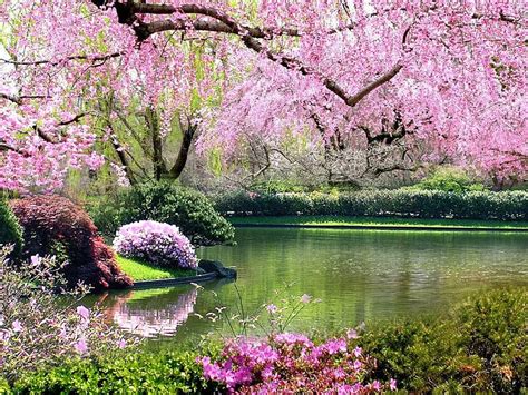 Spring Time, Springtime Nature HD wallpaper | Pxfuel