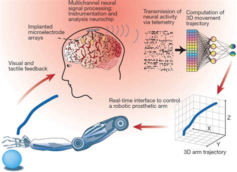 [번역] BCI(Brain Computer Interface)가 인간 행동을 대체할 수 있다.