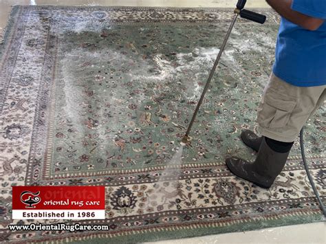 Oriental Rugs Expert Deep Cleaning Services in Dania, Broward