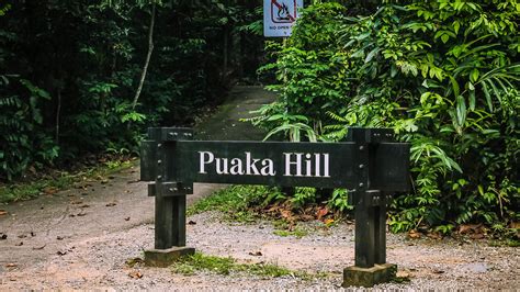 Pulau Ubin - Let’s Hike Puaka Hill, Who’s In? - Alexis Jetsets – Travel ...