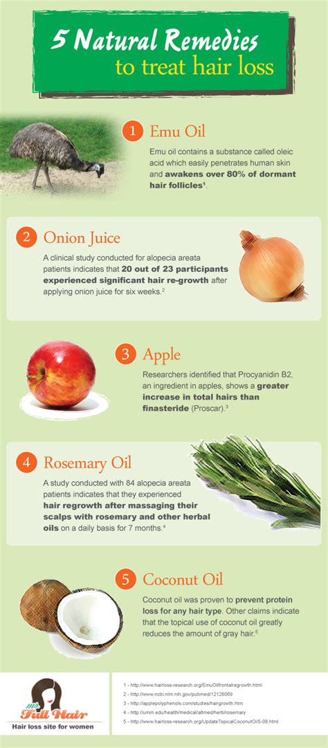 Infographic: 5 Popular Natural Home Remedies to Treat Hair Loss