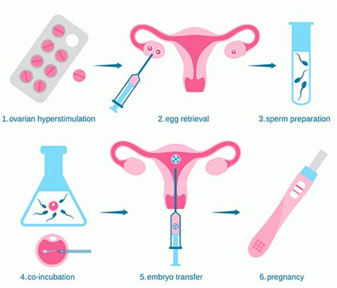 +21 Types Of New Reproductive Technologies | TECH AND SPORTS NEWS