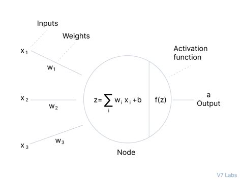 Activation Functions in Neural Networks [12 Types & Use Cases] - EU ...