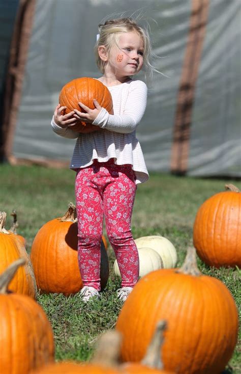 Where and when to find fall festivities in Gaston County this season