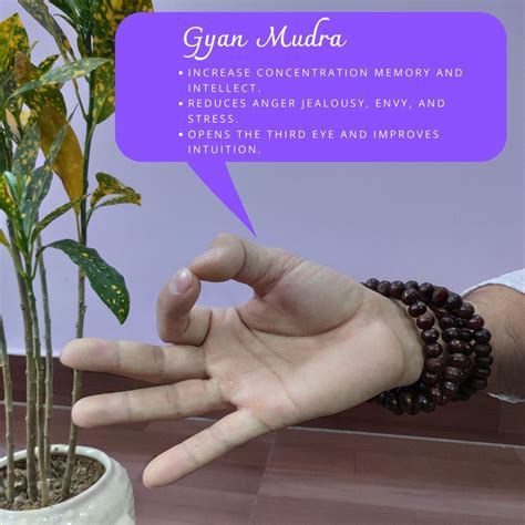 Gyan mudra is a combination of fire and air elements. This mudra ...