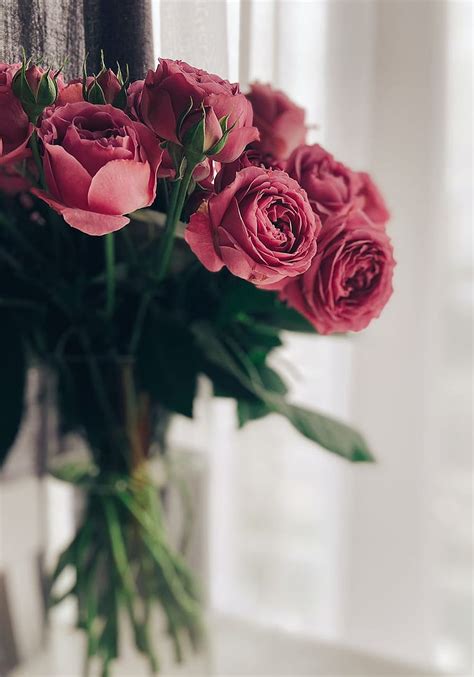 Red Roses Bouquet , Red Rose Bouquet HD phone wallpaper | Pxfuel