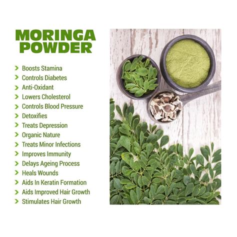 What is Moringa? And the basic health benefits – Healthsoothe: Health ...