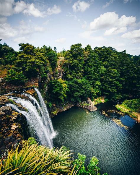 Whangarei Falls | Whangarei, Favorite places, Waterfall