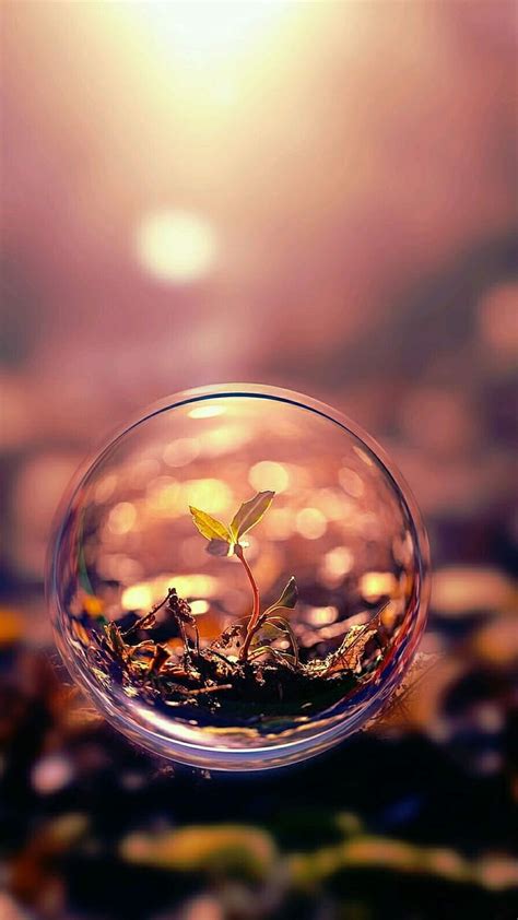 Water bubble, bubbles, plants, HD phone wallpaper | Peakpx