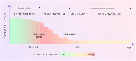 FSH Levels During Menopause: Charting the Hormonal Transition