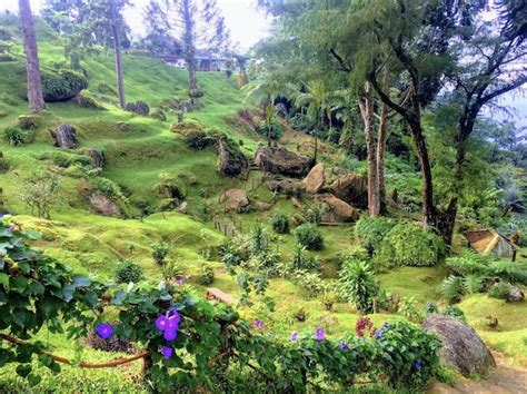 Bukit Larut Is An Undiscovered Genting Highlands, Just A 1-Hour Flight ...