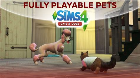 The sims 4 cats and dogs game mods - fansdax