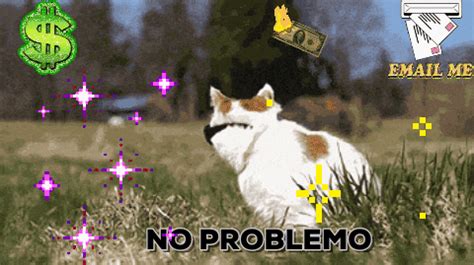 Cat Says No Gif - Quotes Trendy