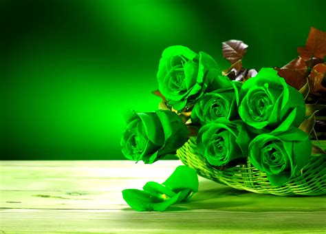 Green Roses Wallpapers - Top Free Green Roses Backgrounds - WallpaperAccess