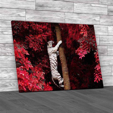 White Tiger Canvas Print Large Picture Wall Art | eBay