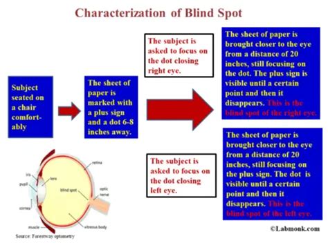 Characterization of blind spot - Labmonk